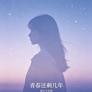 青春还剩几年 (流行摇滚版)