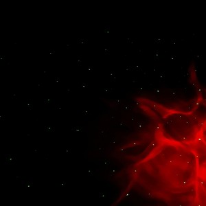 Won't Take It to the Grave (Explicit)