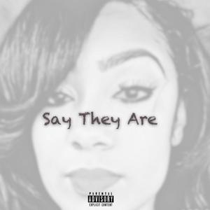 Say They Are (feat. Valerie Brown) [Explicit]