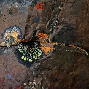 No Words for a Beautiful World