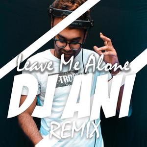Leave Me Alone(feat. DJ Ani & Badkash) (Remix)
