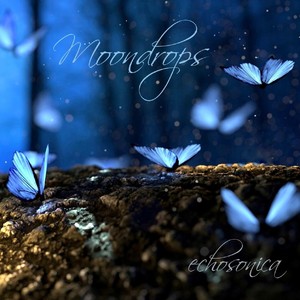 Moondrops