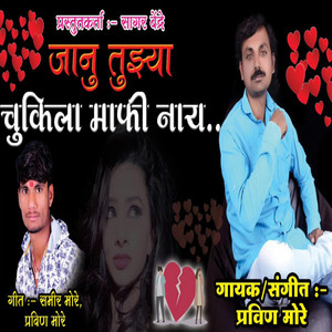 Jaanu Tujya Chukila Maafi Naay