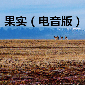 花儿与少年 (电音版)