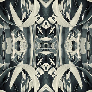 Primo (feat. Grandfather Sage, Danehar & Camovillian)