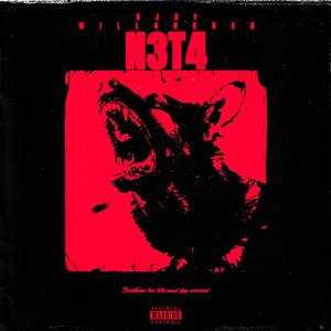 N3T4 (feat. WillUnknxwn) (Explicit)