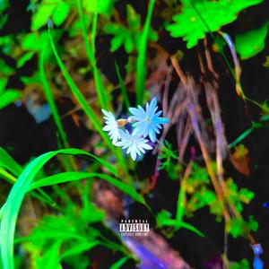 Same (Explicit)