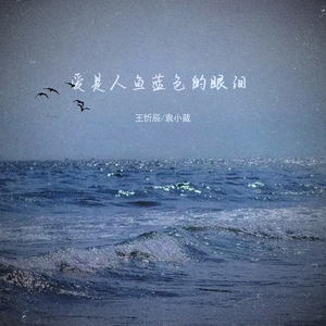 王忻辰_袁小葳《爱是人鱼蓝色的眼泪》[MP3_LRC]_MP3免费下载