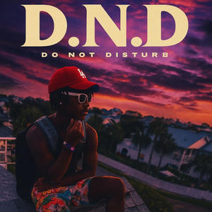 DND (feat. 0sama P Laden & 3hree4our) (Explicit)