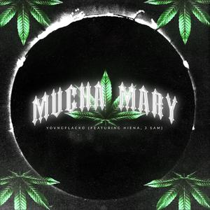 Mucha Mary (feat. Hiena HG & J Sam) [Explicit]