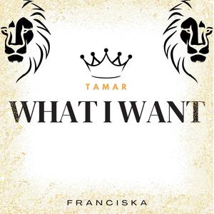 What I Want (Tamar)