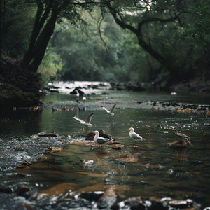 Serene Binaural Meditation with Nature Birds and Creek