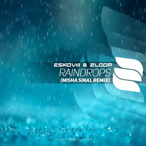 Raindrops (Misha Sinal Remix)