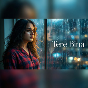 Tere Bina
