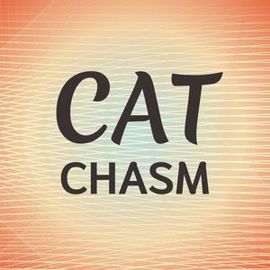 Cat Chasm