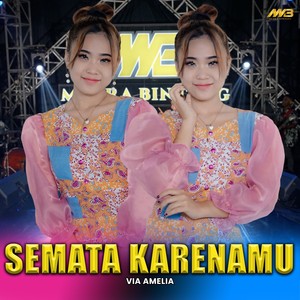 Semata Karenamu