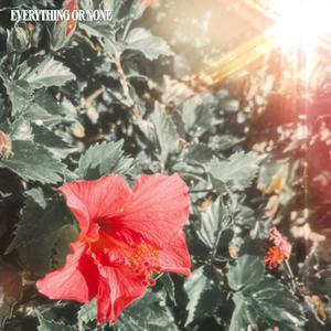 Everything Or None (feat. Leomi & Nadja Kaplan)