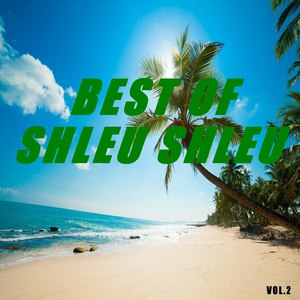 Best of shleu shleu (Vol.2)