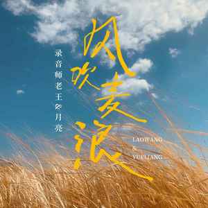 风吹麦浪