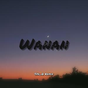 Wanan（Spx_Q Remix）