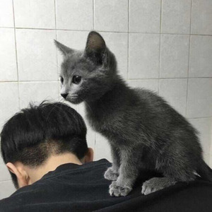 安河桥