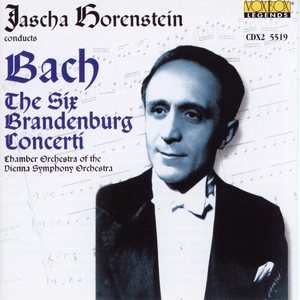 Brandenburg Concerto No. 6 in B-Flat Major, BWV 1051 - II. Adagio ma non tanto