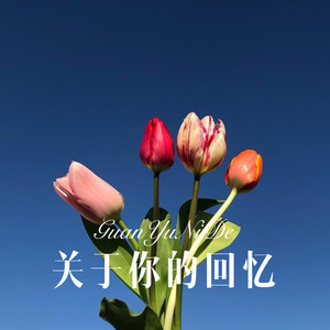 还我一个不怕黑的夜封面