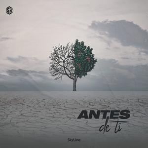 Antes de ti