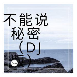 霜语 - 擦干 你的泪水 (DJ版)