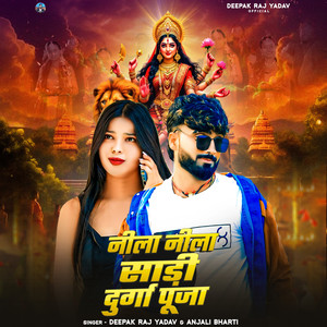 Nila Nila Sadi Durga Puja