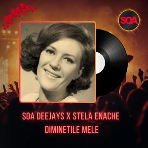 Diminetile Mele (feat. Stela Enache) [Radio Edit]