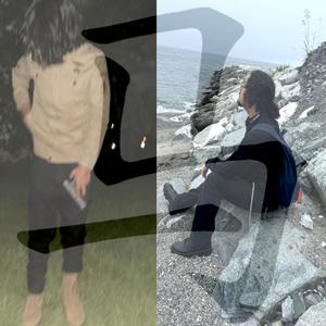 horses (Explicit)