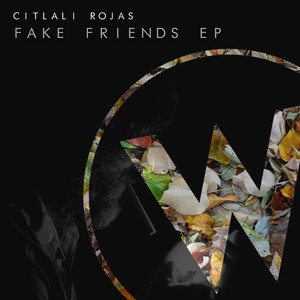Fake Friends (Original Mix)