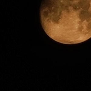 Pray the day away(feat. rawkey)