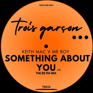 Something About You (The Re Fix Mix)