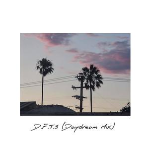 D.F.T.S. (feat. Marty's Daydream's) [Daydream Remix] [Explicit]