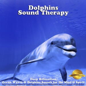 Dolphins Sound Therapy