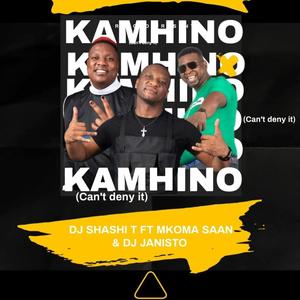 Kamhino (Can't deny it) (feat. Mkoma Saan & Dj Janisto)