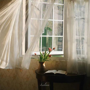 春知晓梦不觉（恰似你我那年）