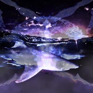 cant see shi (Explicit)