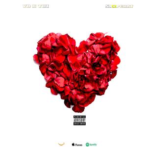 Snapchat (feat. TUI) [Explicit]