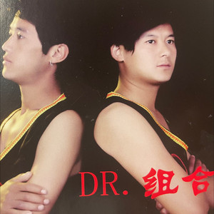 D.R组合         给不了未来