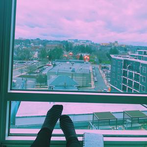 Now You Have My Heart