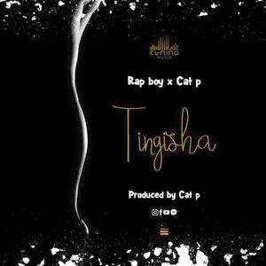 TINGISHA (feat. Cat p)
