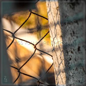 Miss You more each day