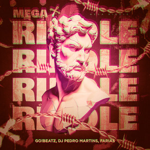 Mega Riddle