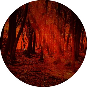 The Yearn (Deepsec & Adam Firegate Remix)