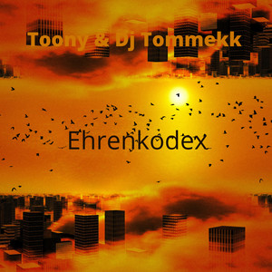 Ehrenkodex