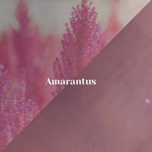 Amarantus