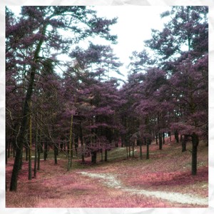 Sortez-moi de montréal